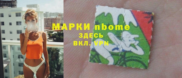 стафф Новосибирск