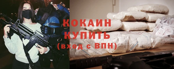 прущие грибы Краснослободск