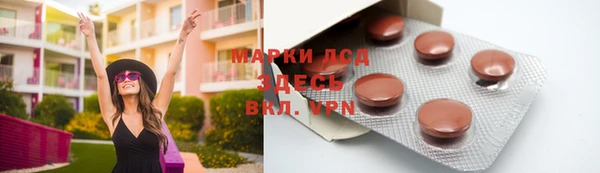 прущие грибы Краснослободск