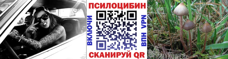 Галлюциногенные грибы прущие грибы  Учалы 