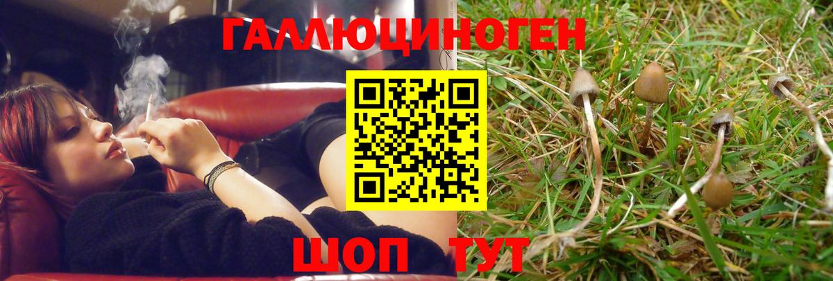 Псилоцибиновые грибы Cubensis  Учалы  Галлюциногенные грибы GOLDEN TEACHER 