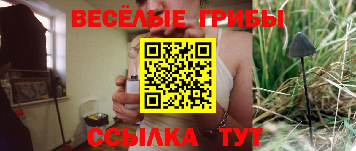 Псилоцибиновые грибы Psilocybe Учалы